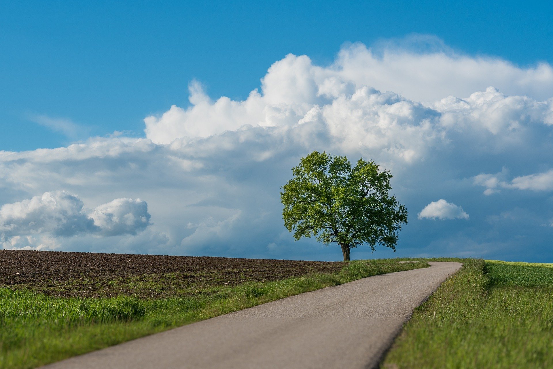 landscape-6394751_1920.jpg